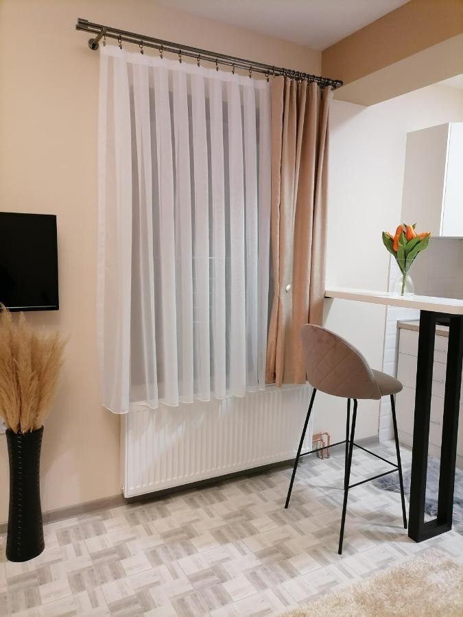 Apartmán Apartman Savic Bajina Basta Exteriér fotografie