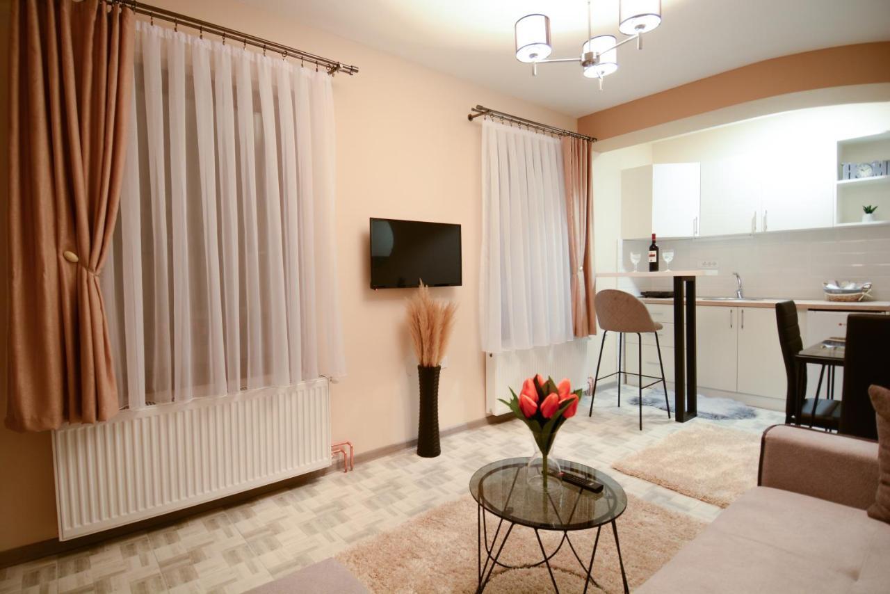 Apartmán Apartman Savic Bajina Basta Exteriér fotografie